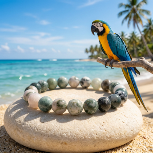 Bracelet on a beach rock with a blue-and-yellow macaw